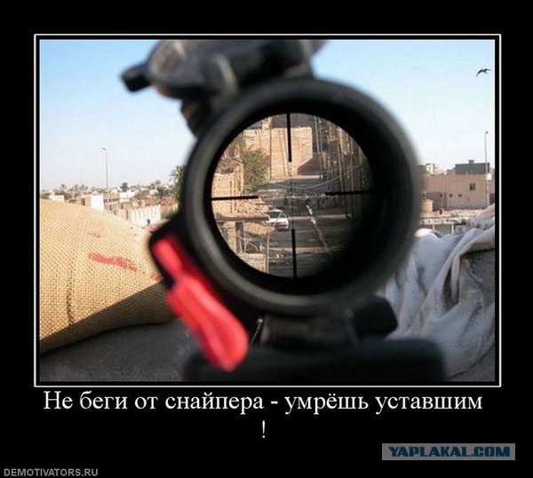 Смешные комментарии из социальных сетей 05.02.2016