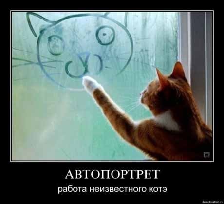 Весёлые картинки