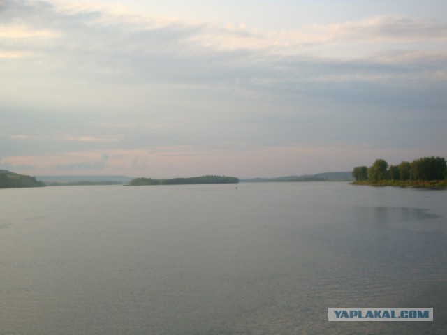 Я узнал, что у меня есть огромная семья