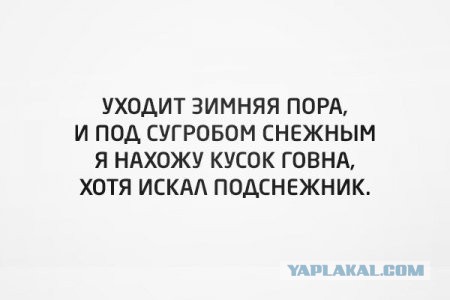 Воскресная подборка картинок