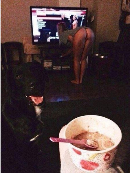 Ужасы и приколы из соцсетей 18+