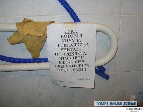 Смешные картинки с надписями