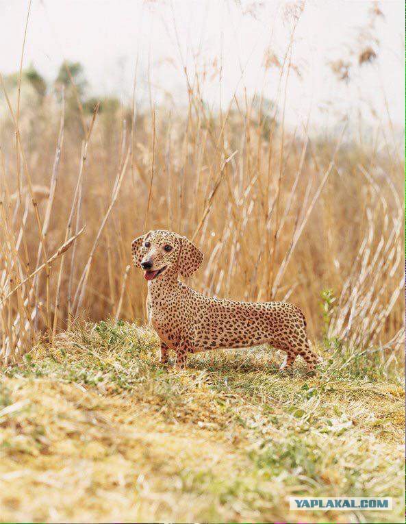 Подборка интересных и веселых картинок