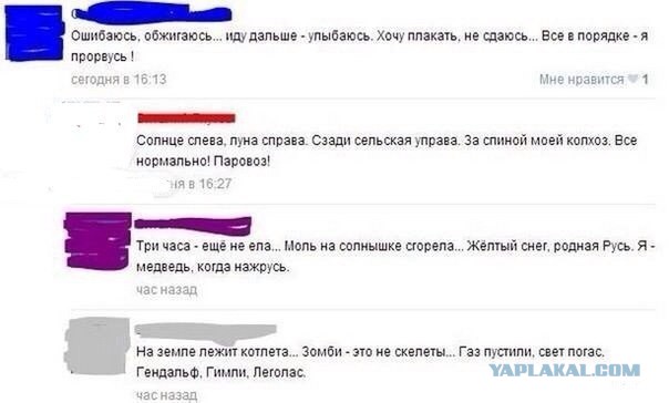 Комментарии, подписи, текстовые приколы