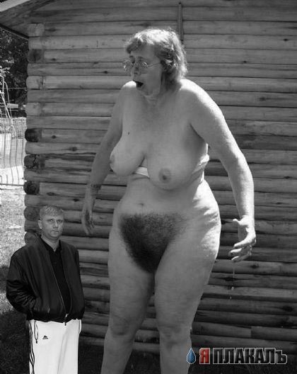Фотожаба: Свидетель из Фрязино
