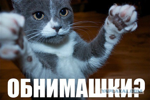 И с тигром тоже шутки плохи