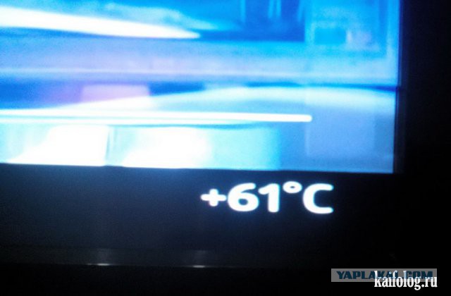 Подборка любопытных фотографий со всего света
