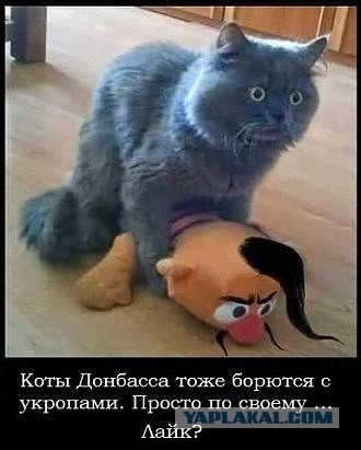 Свобода слова в Украине