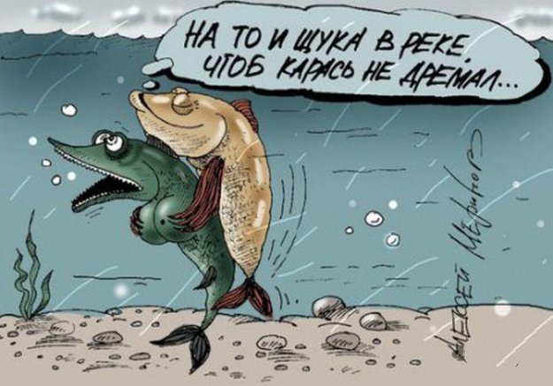 А ЯПорыбачил бы !