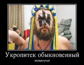 О каком братском народе вы говорите?