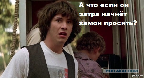 Сын стал "шмоточником".