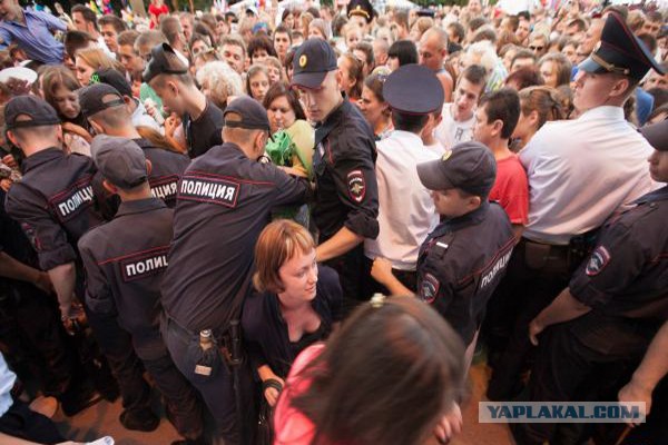 Отстрел собак или они не кусаются