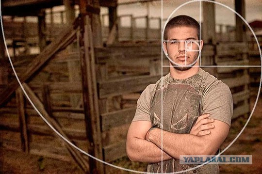 Мое хобби - учусь фотографировать