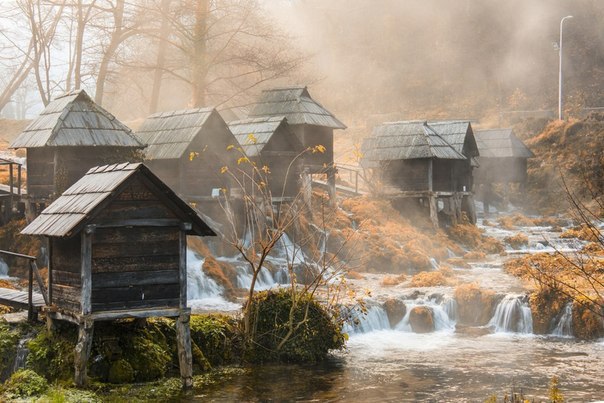 Моменты, запечатлённые на фото и просто позитив 5