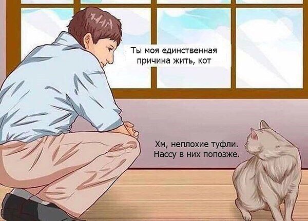Деградации ЯПу