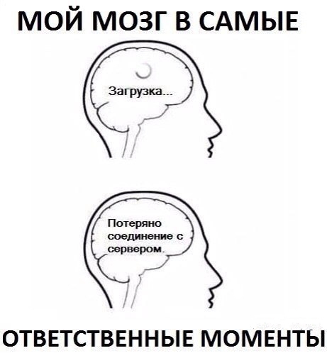 Женский мозг vs мужской мозг