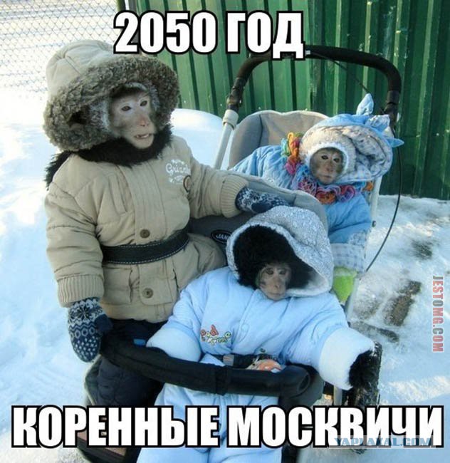 В Москве молодой легкоатлет погиб от ножевого ранения