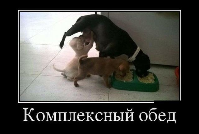 Подборка интересных и веселых картинок