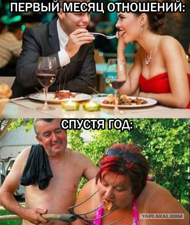 Чернь и деградация к выходным