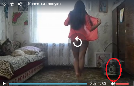 Красотки танцуют