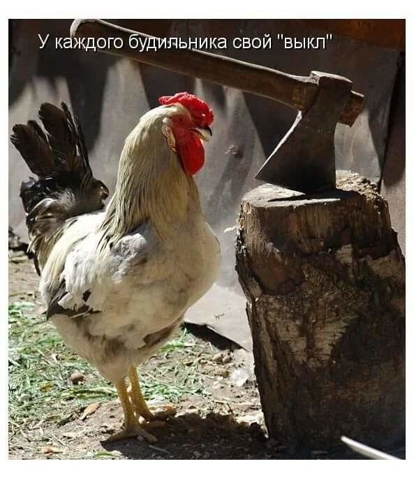 Итоги проверки пользователей
