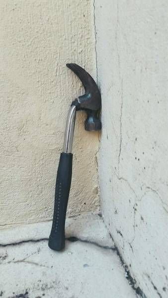 Прикольные картинки обо всем