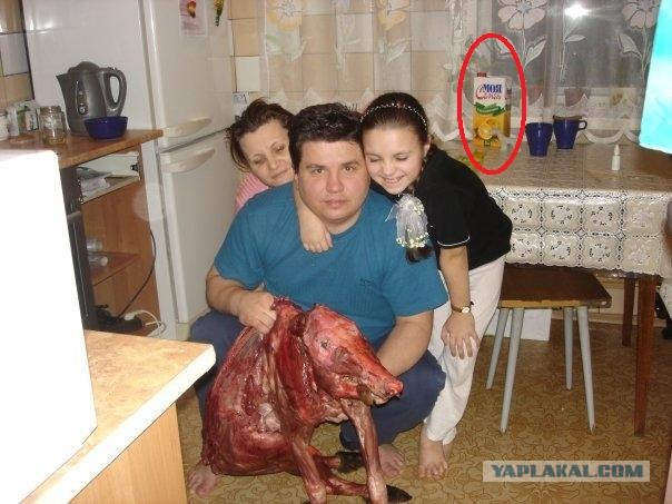 Пропала собака, живущая в нашем дворе, 21+