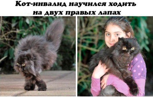 Немного интересных и добрых картинок