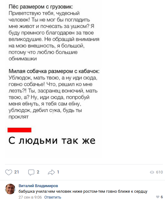 Смешные комментарии из социальных сетей 12.10.2018