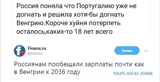 Александр Роджерс: Открытое письмо российским элитам