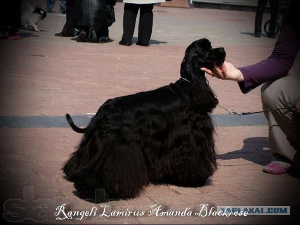 Две мочалки в уголке