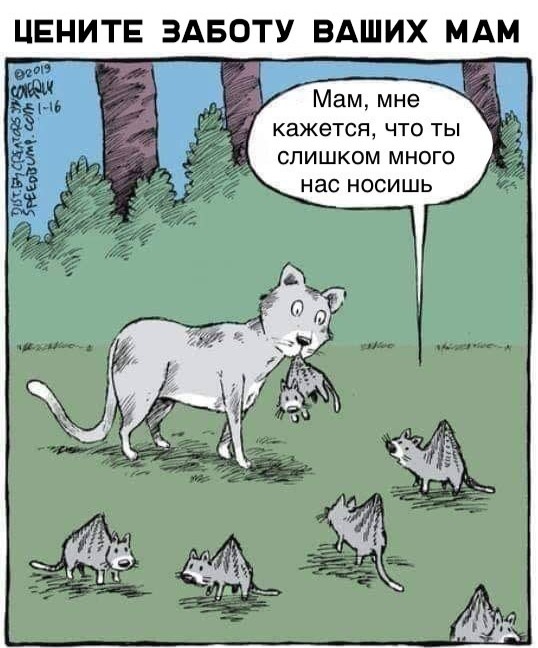 Нестандартный юмор