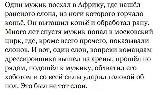 Люди спасли слона, застрявшего в затопленной яме
