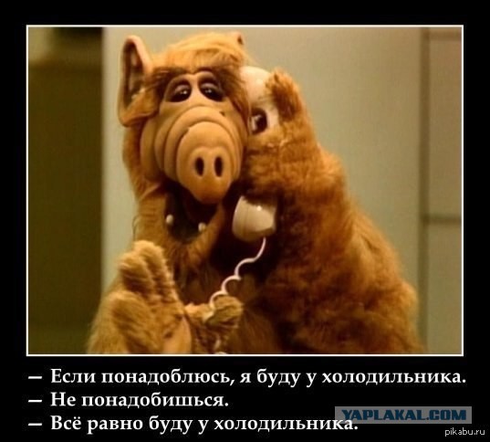 Найди себе женщину, говорили они