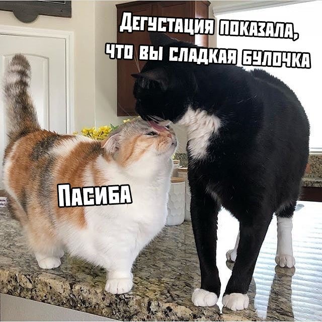 Так себе картинки 8