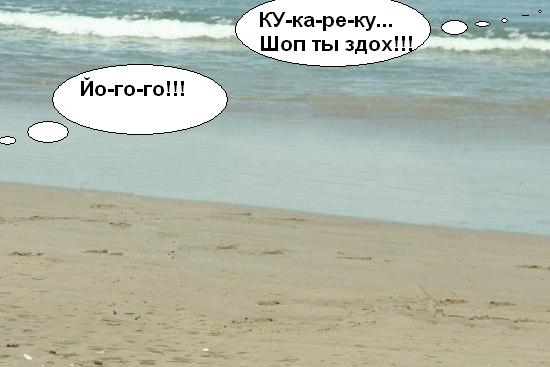 Фотожаба дня: Летающий конь