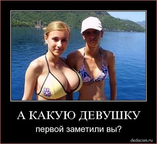 Очень пошлые картинки про это.18+