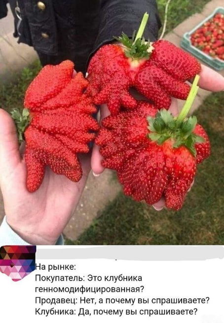 Бредзона 17.07.2020