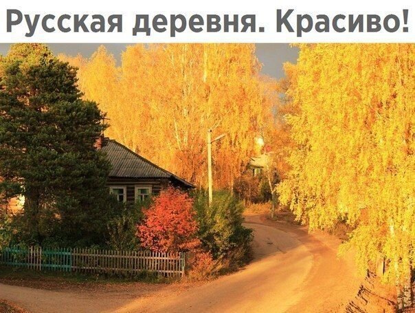 Чуток картинок 20.07.20