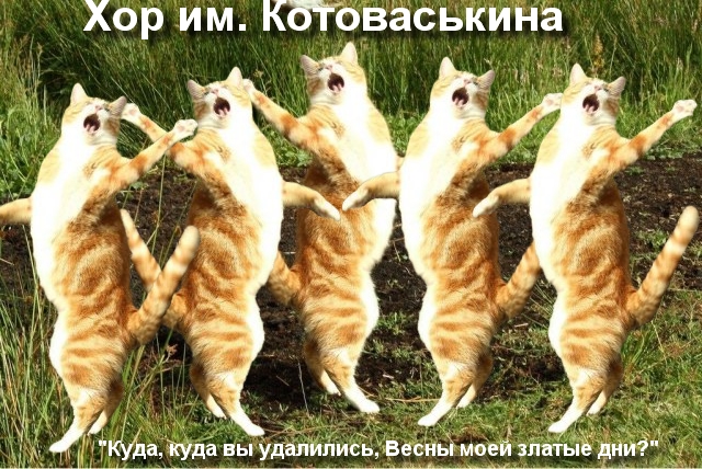 http://s00.yaplakal.com/pics/pics_original/0/8/2/1499280.jpg