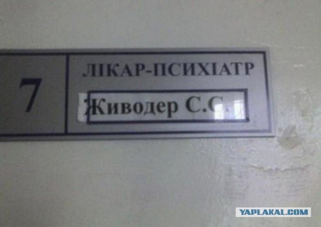 Котики бывают разные - черные, белые, и все классные