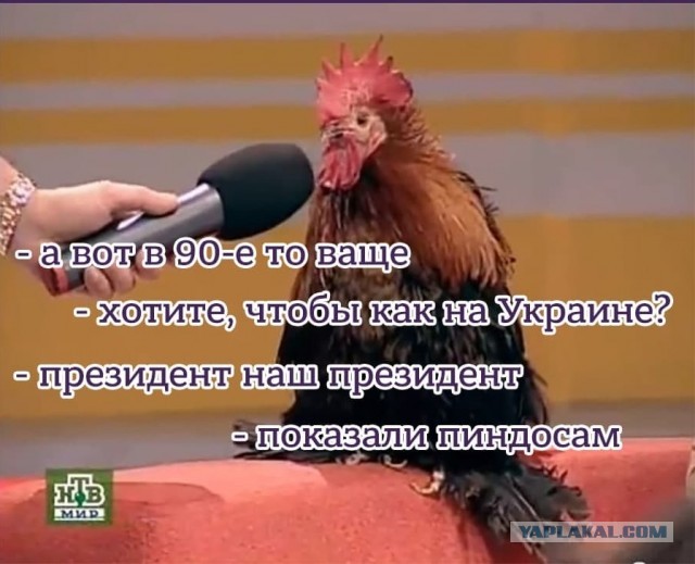 Глава МИД Швеции приехала в Москву с требованием освободить Навального