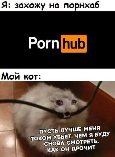 Праздничные маразмы преследуют нас