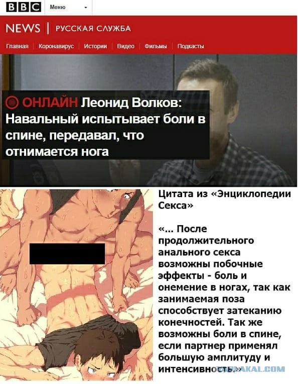 Весёлый полтишок 31.03