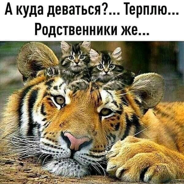 Картинки с надписями и всякие жизненные фразы 1.05.21