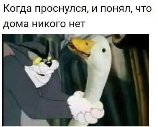 Картинки и мемы для настроения 24.08.2021