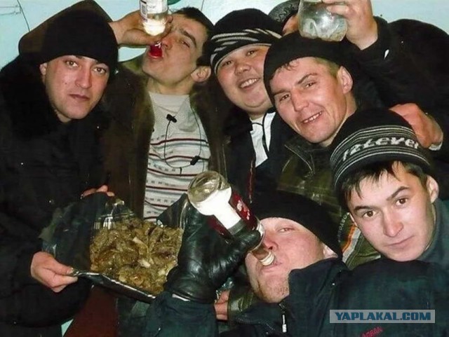 Скотсети и прочие интернеты 19.11.2021