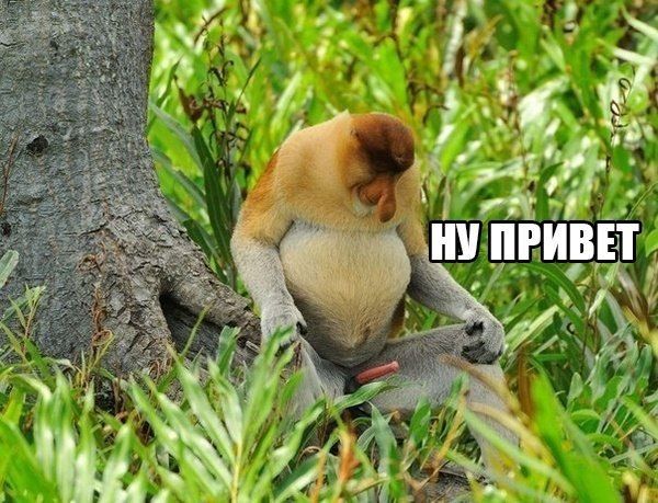 Картинки и буквы 03.03.22