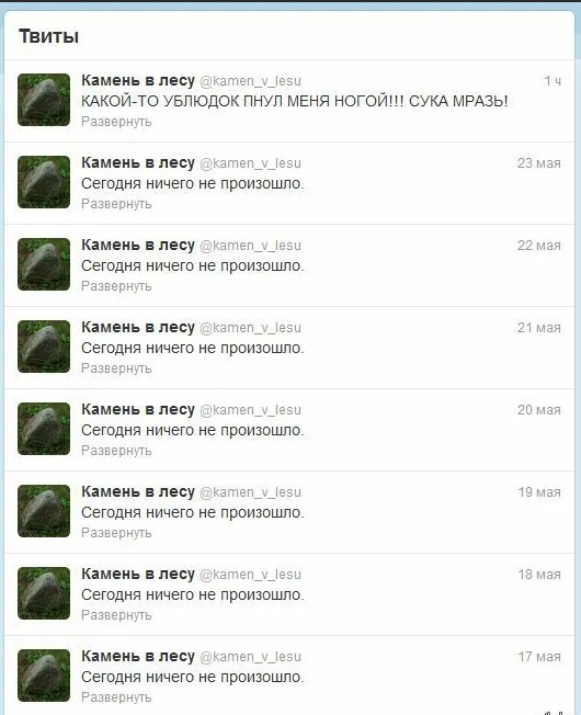 История жизни одного пня