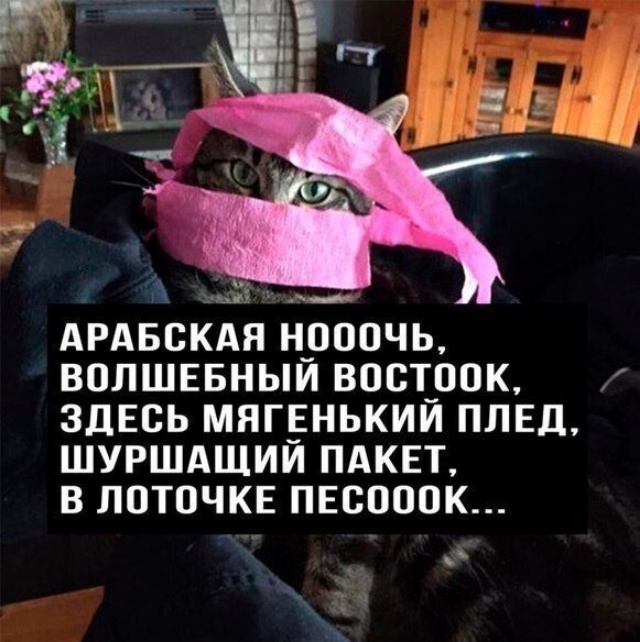 Картинки и мемы для настроения - 14